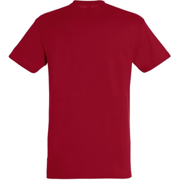 SOLS Herre Regent kortærmet T-shirt med korte ærmer