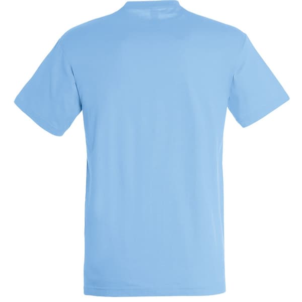 SOLS Herre Regent kortærmet T-shirt med korte ærmer