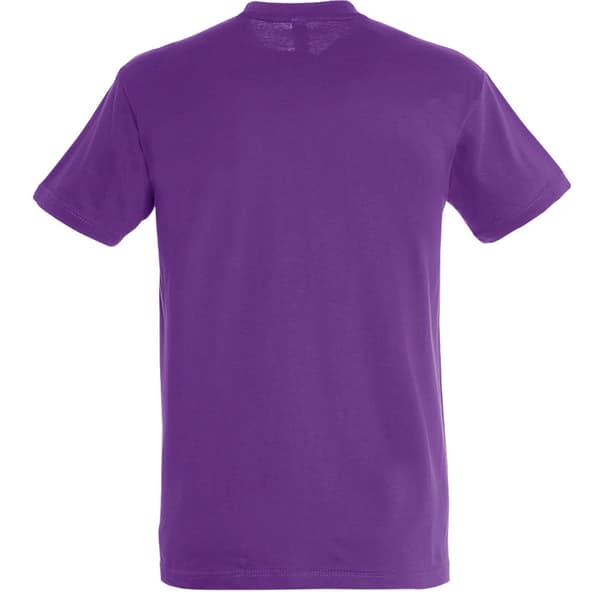 SOLS Herre Regent kortærmet T-shirt med korte ærmer