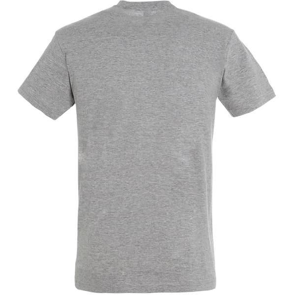 SOLS Herre Regent kortærmet T-shirt med korte ærmer