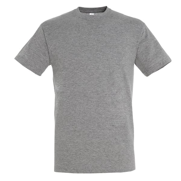 SOLS Herre Regent kortærmet T-shirt med korte ærmer