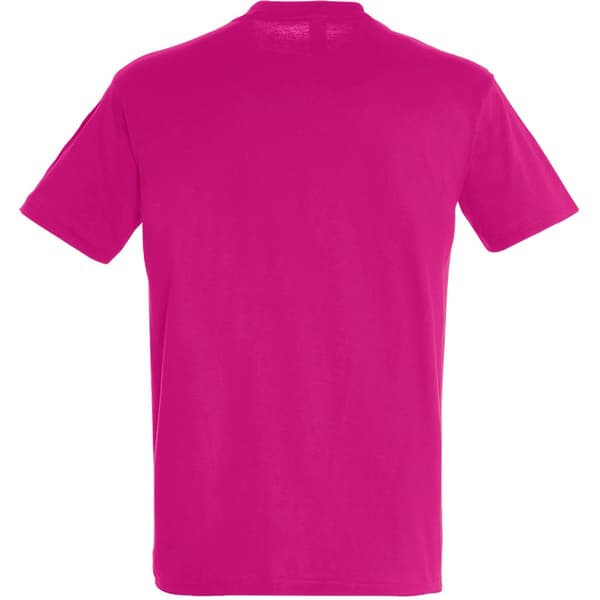SOLS Herre Regent kortærmet T-shirt med korte ærmer