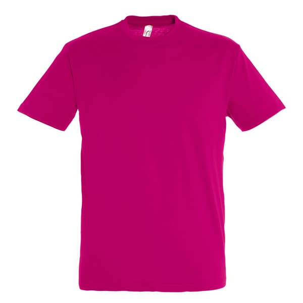SOLS Herre Regent kortærmet T-shirt med korte ærmer