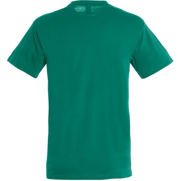 SOLS Herre Regent kortærmet T-shirt med korte ærmer