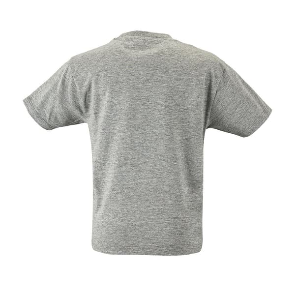 SOLS Kids Regent kortærmet T-shirt med korte ærmer