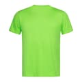 Miniatyrbillede 2 af 3: Stedman Unisex voksen Classic Tee til voksne