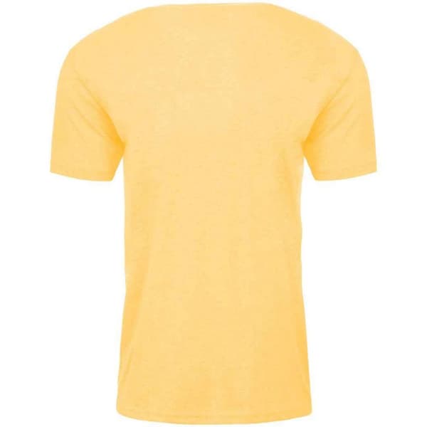 Next Level Adults Unisex Crew Neck T-Shirt