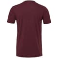 Miniatyrbild 2 av 3: Canvas Mens Triblend Crew Neck Plain Short Sleeve T-Shirt för män
