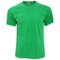 Miniatyrbillede 1 af 2: Fruit Of The Loom Mens Original T-Shirt