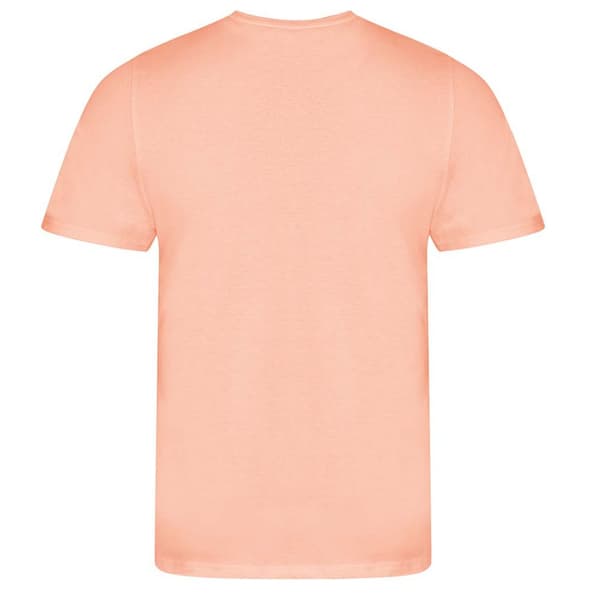 Ecologie Mens Organic Cascades T-Shirt