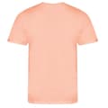 Miniatyrbilde 2 av 2: Ecologie Mens Organic Cascades T-Shirt