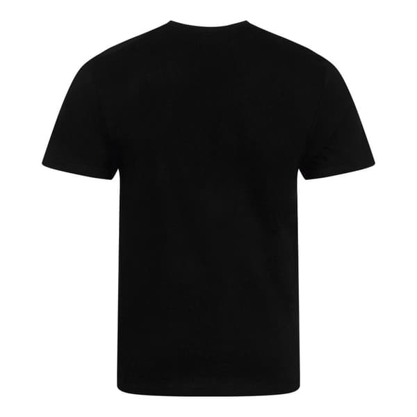 Ecologie Mens Organic Cascades T-Shirt