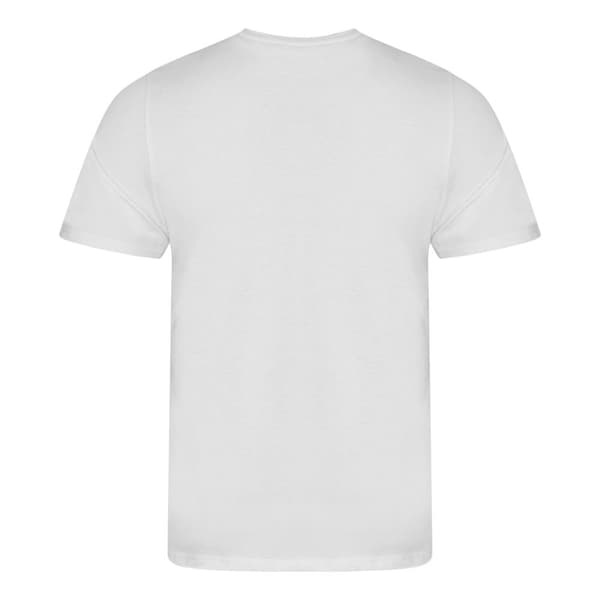 Ecologie Mens Organic Cascades T-Shirt