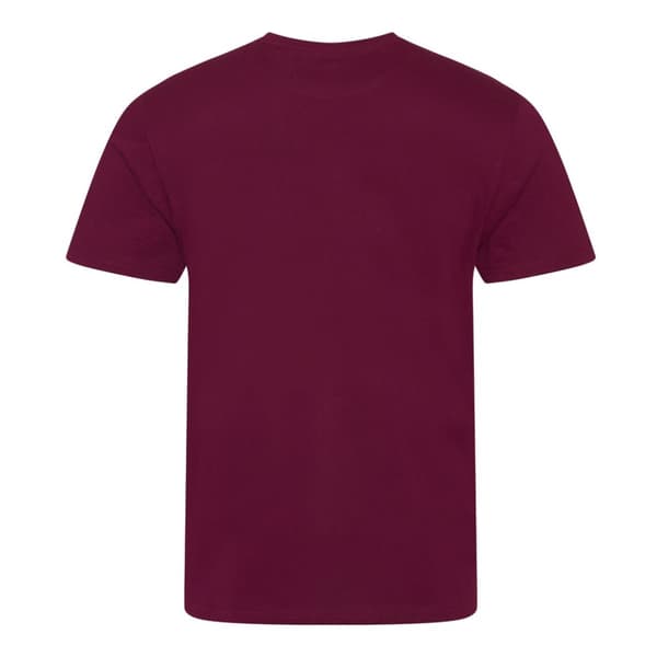Ecologie Mens Organic Cascades T-Shirt
