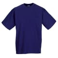 Miniatyrbillede 1 af 2: Jerzees Colours Herre Classic kortærmet T-shirt til mænd