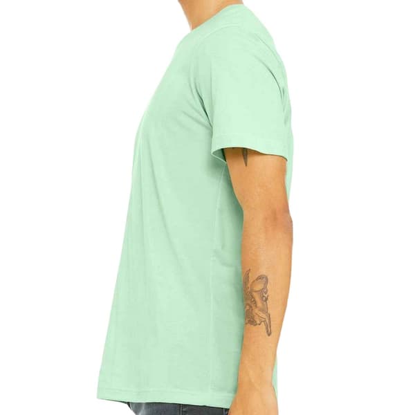 Bella + Canvas Unisex triblend T-shirt til voksne