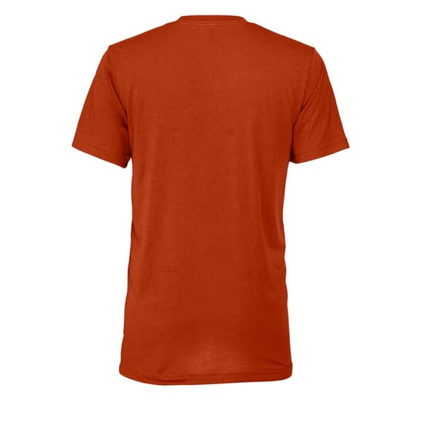 Bella + Canvas Unisex triblend T-shirt til voksne