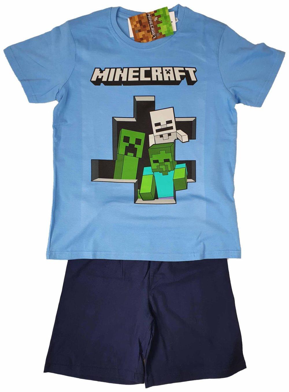 Minecraft T-Shirt / Shorts