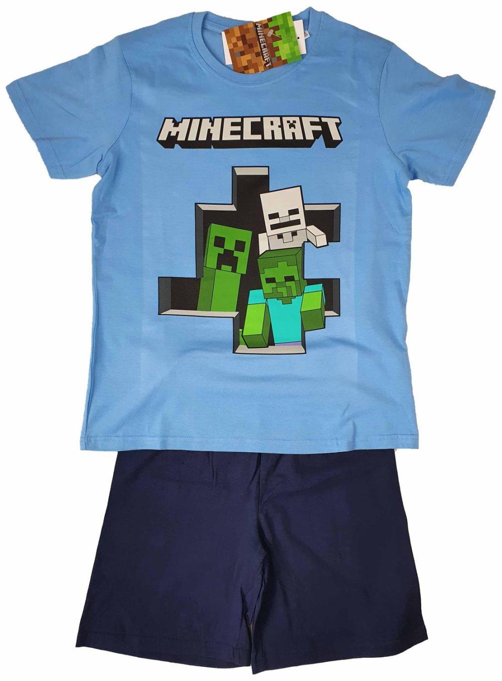 Minecraft T-Shirt / Shorts