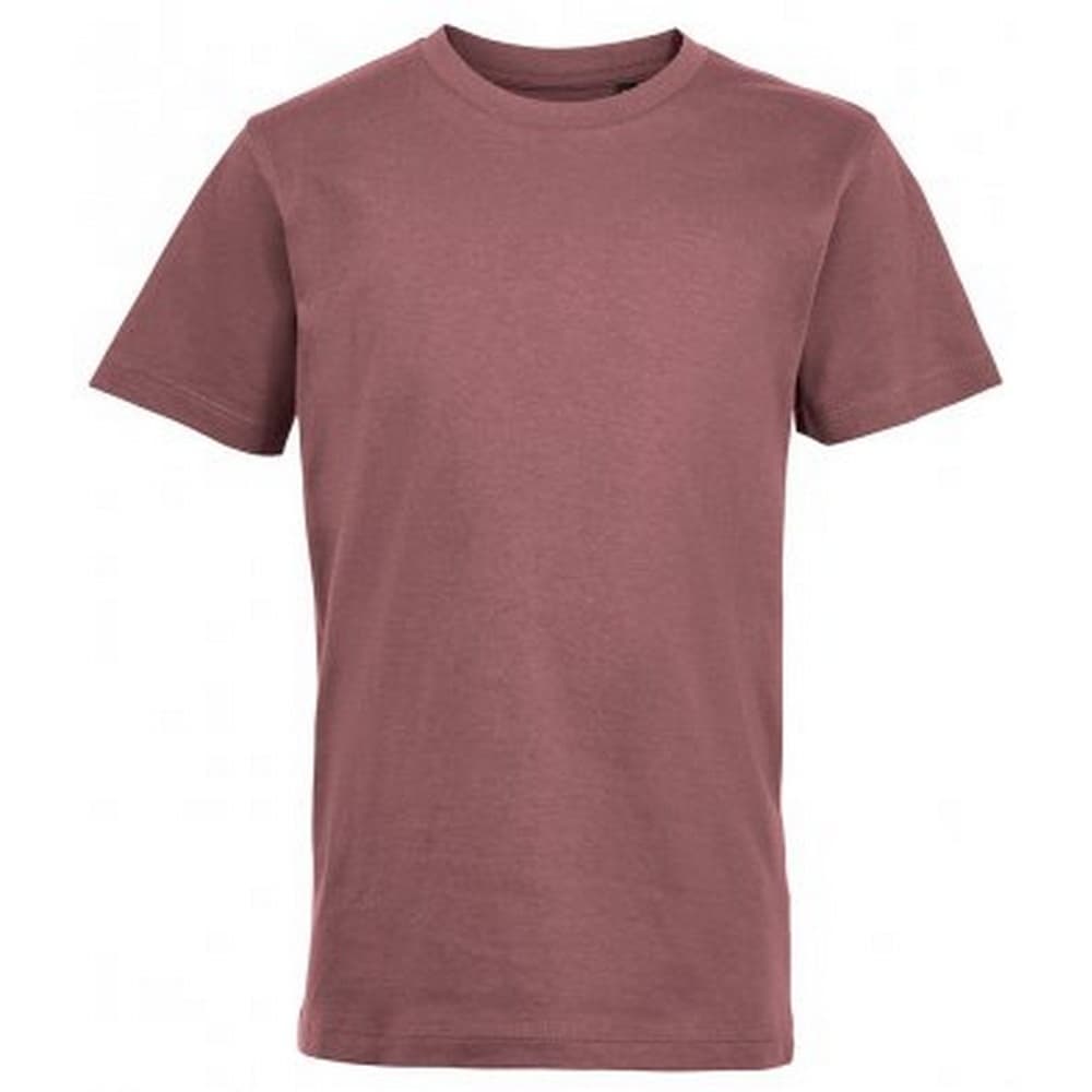 SOLS Kortärmad T-shirt för barn/barn