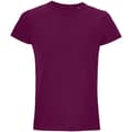 Miniatyrbillede 1 af 2: SOLS Herre Crusader økologisk T-shirt