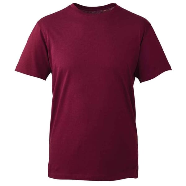 Anthem Økologisk T-shirt til mænd