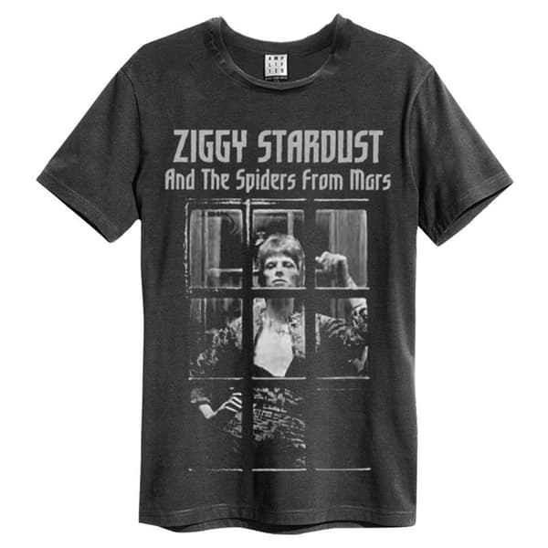 Amplified Unisex vuxen The Rise and Fall David Bowie T-Shirt Charcoal XS