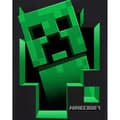 Miniatyrbilde 3 av 3: Minecraft Boys Creeper Inside T-Shirt