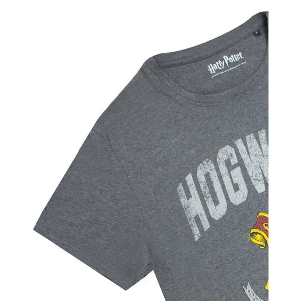 Harry Potter Hogwarts T-shirt til mænd
