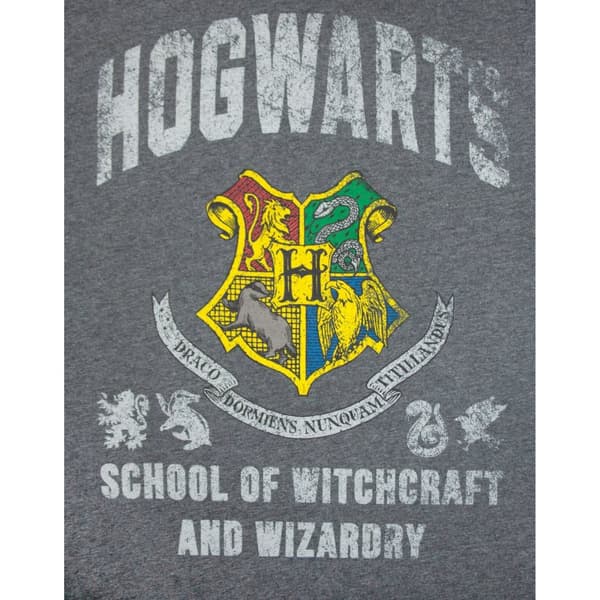 Harry Potter Hogwarts T-shirt til mænd