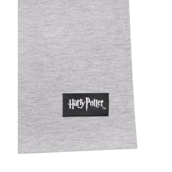 Harry Potter Mens Hogwarts Raglan Top