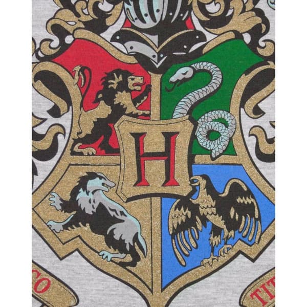 Harry Potter Mens Hogwarts Raglan Top