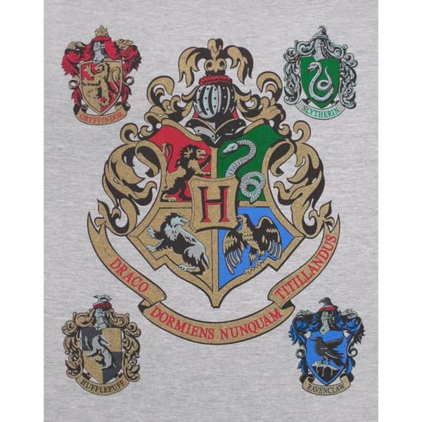 Harry Potter Mens Hogwarts Raglan Top