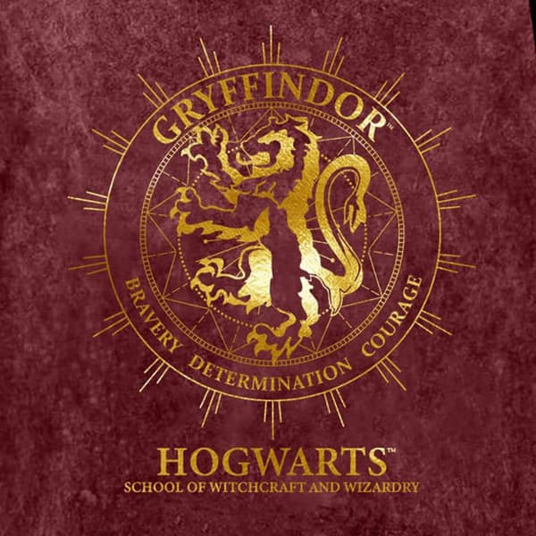 Harry Potter Womens/Ladies Gryffindor Constellation T-Shirt