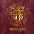 Pikkukuva 3 / 3: Harry Potter Womens/Ladies Gryffindor Constellation T-Shirt