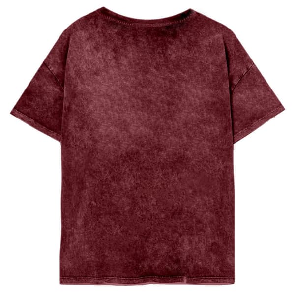 Harry Potter Womens/Ladies Gryffindor Constellation T-Shirt