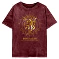 Pikkukuva 1 / 3: Harry Potter Womens/Ladies Gryffindor Constellation T-Shirt