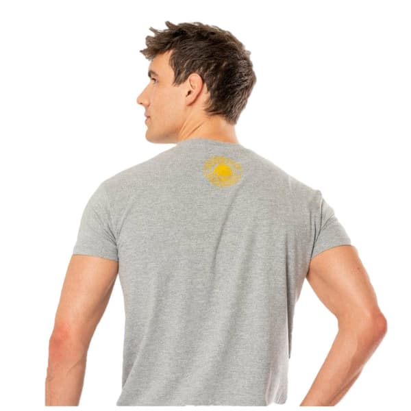 Harry Potter Unisex T-shirt för vuxna Ravenclaw