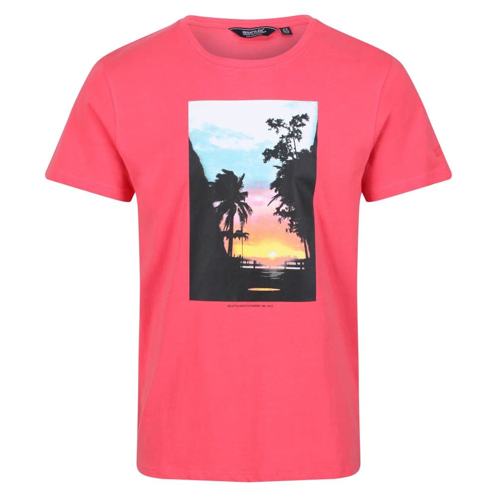 Regatta Cline VI Sunset Cotton T-Shirt för män