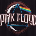 Miniatyrbillede 2 af 3: Pink Floyd Børne/børn Dark Side Of The Moon Band T-shirt