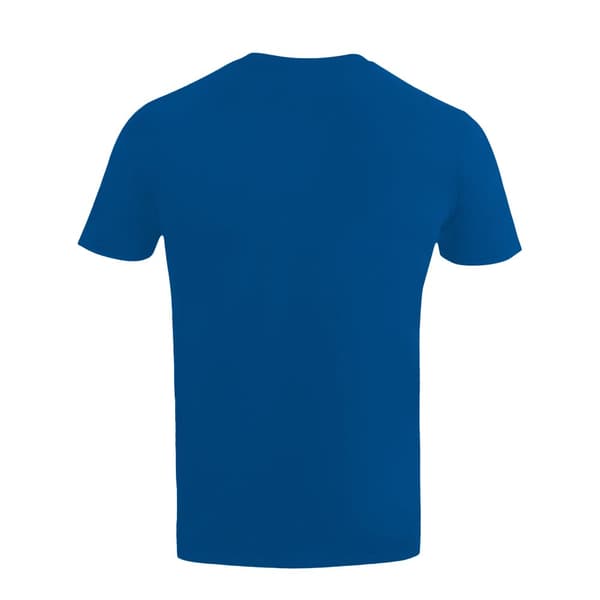 Harry Potter Barn/Kids Ravenclaw T-Shirt