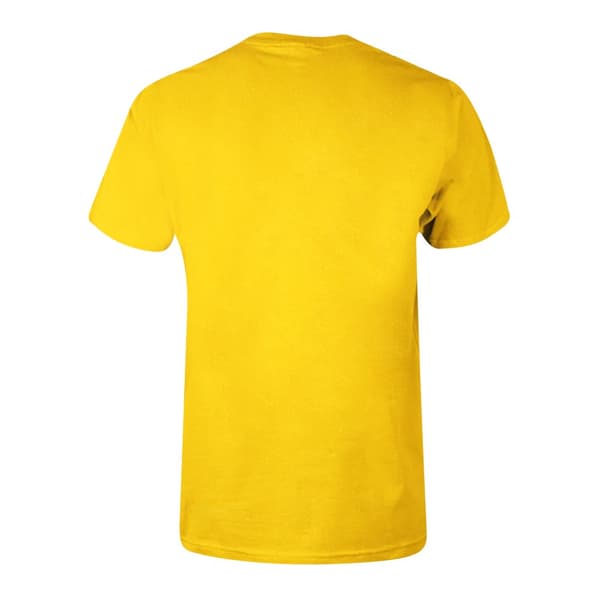 Harry Potter Childrens/Kids Hufflepuff T-Shirt