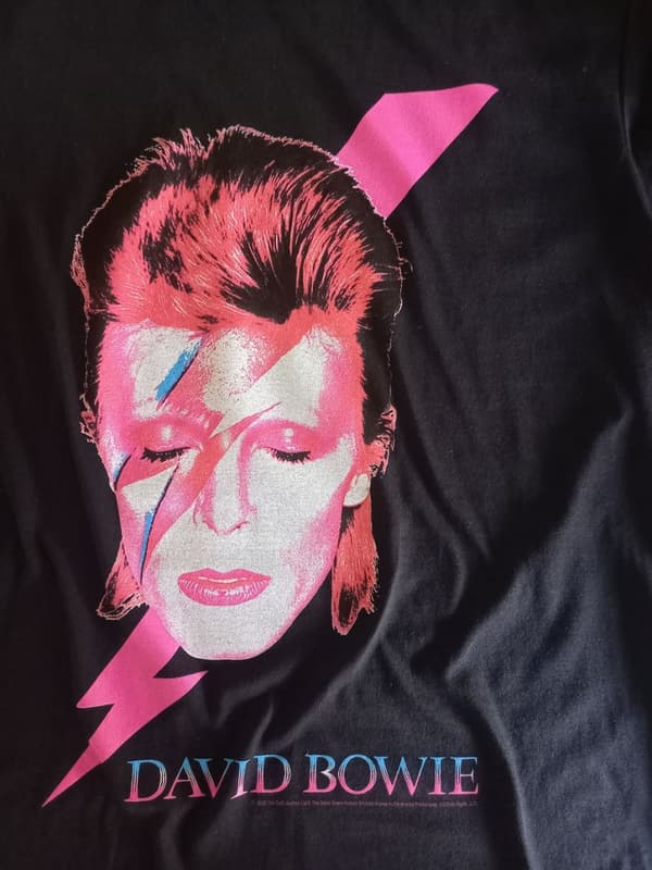 David Bowie Aladdin sane  T-Paita