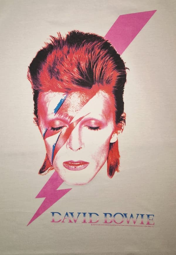 David Bowie David Bowie Aladdin sane (lady) T-Skjorter. Kvinner