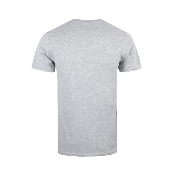NASA Mens Plane Aeronautics Heather T-Shirt