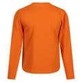 Miniatyrbillede 2 af 3: Regatta Børn/Børn Wenbie III langærmet T-shirt med lange ærmer