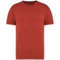 Miniatyrbillede 1 af 2: Native Spirit Unisex T-shirt til voksne med falmet farve