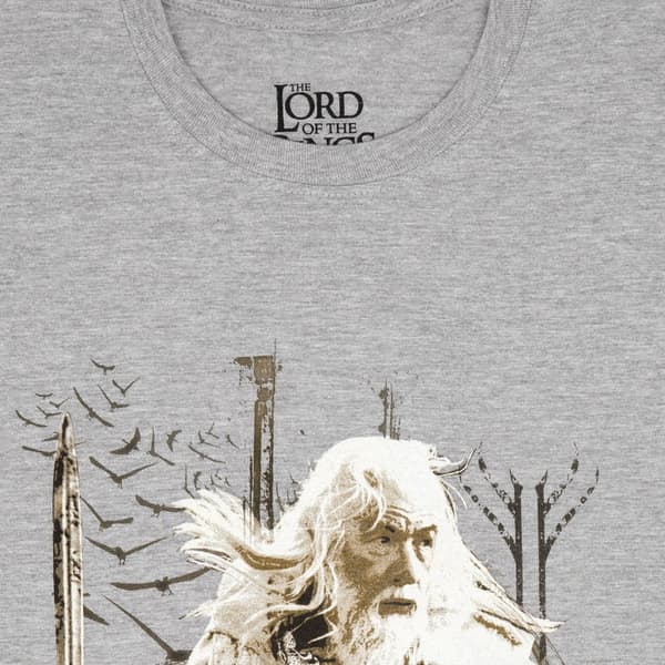 The Lord Of The Rings Mens Gandalf Heather T-Shirt