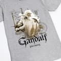 Pikkukuva 4 / 5: The Lord Of The Rings Mens Gandalf Heather T-Shirt