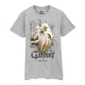 Pikkukuva 1 / 5: The Lord Of The Rings Mens Gandalf Heather T-Shirt